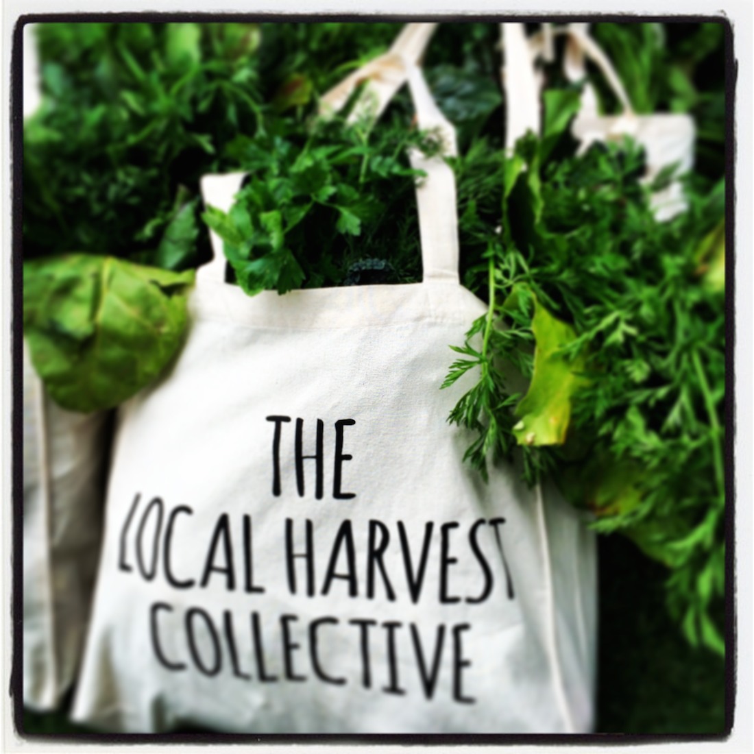 The Local Harvest Collective